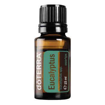 doTERRA Eucalyptus- Ätherische Ölmischung 15ml hochrein